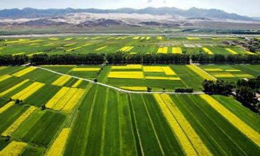 农村土地制度改革三项试点全面启动_频道-泰州