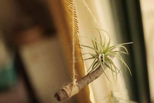 唐山前4个月财政收入完成245亿元