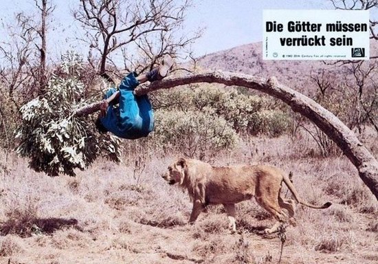 【影视推荐】10部让你笑到癫狂的高分喜剧_房产_腾讯网