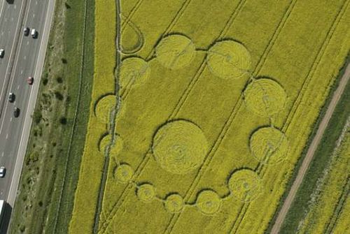 英国南部麦田怪圈频发 可带来数百万收入(图)