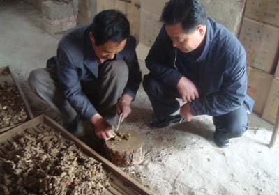 成功案例:大别山区的创业英雄