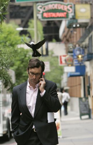 美国一只母鸽为保护幼鸽疯狂袭击路人(组图)