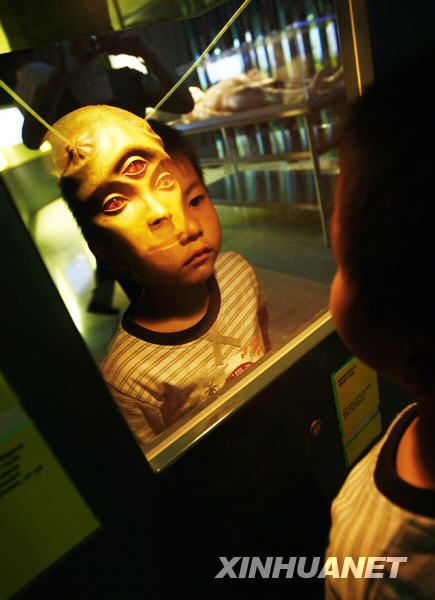 外星生命探索展登陆上海:解剖外星人引关注