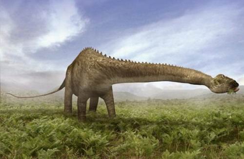 恐龙体型并不庞大 体重仅为科学家预测的一半
