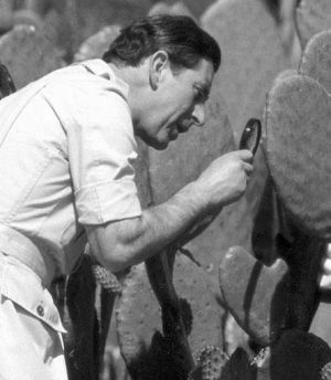 英国最新研究显示:植物听女人说话长得更高