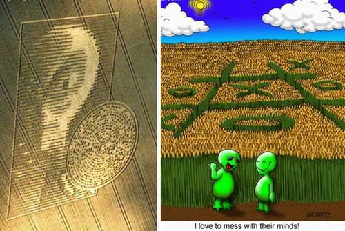 麦田怪圈持续4个世纪：外星人向地球发信息？