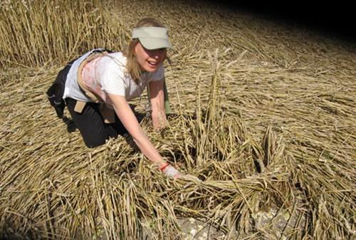 麦田怪圈持续4个世纪：外星人向地球发信息？