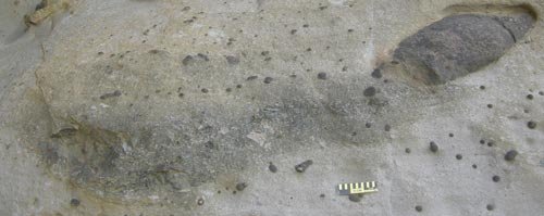 澳洲发现古老恐龙洞穴 棱齿龙冬季打地洞御寒