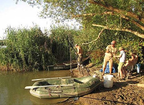 英国11岁小女孩钓得87.5公斤巨大鲶鱼(组图)