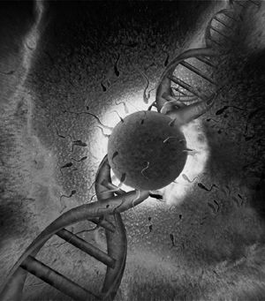 研究发现人类精子有独特“签名” 让卵子受孕