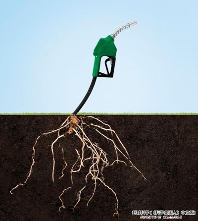 将草炼成油:第二代生物燃料油有竞争力吗?