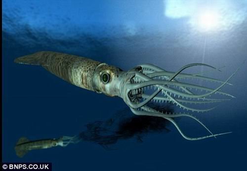 科学家发现亿年前乌贼化石 墨囊仍可提取墨汁