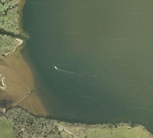 谷歌地球看到“尼斯湖水怪” 有人称是蛇颈龙