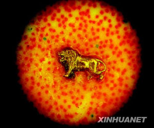 成都微雕大师针眼内雕刻28只大熊猫(组图)