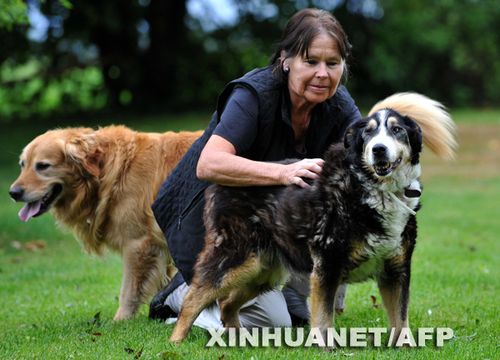 狗界老寿星:25岁彭尼活泼可爱(组图)_动物世