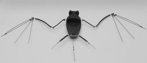 美科学家打造完美蝙蝠机器人 重量不到6克_历