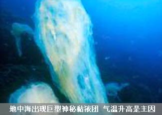 地中海出现巨型神秘黏液团