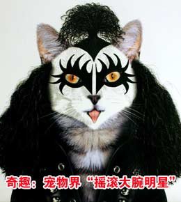 宠物界的“摇滚大腕明星”