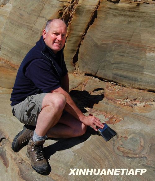 新西兰首次发现恐龙脚印化石(组图)