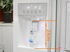 LG新款繡球花束對(duì)開門冰箱直降5000元