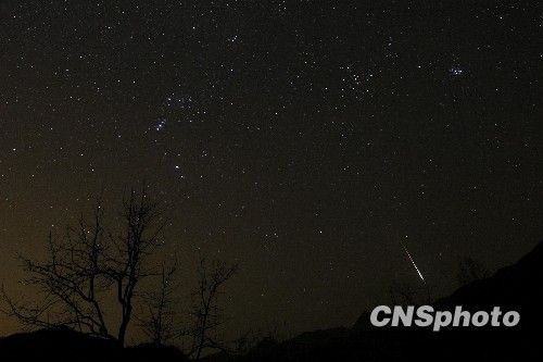 狮子座流星雨光临地球 各地流星雨壮观图片