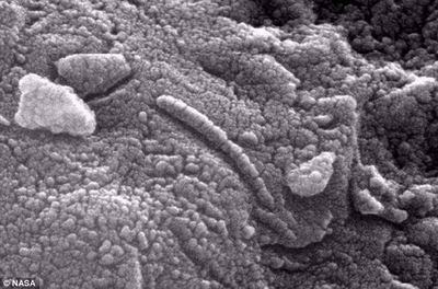 火星发现1.3万年前虫子化石 证实曾存在生命
