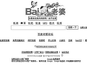 3块钱注册网络域名 山寨百度网横空出世