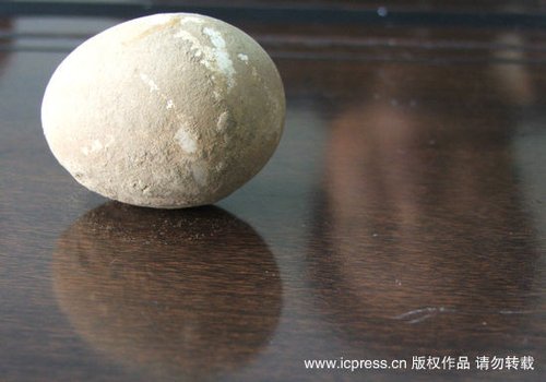山东菏泽刨出600多年前鸡蛋 外形仍完整_历