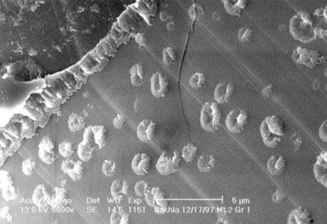 科学家在火星陨石中发现“生物化石形态”