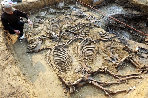 陈庄遗址出土大量文物 西周齐国考古获突破