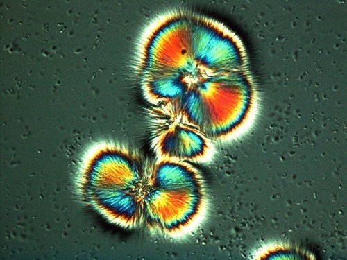 科学工程视觉挑战展：螺旋状聚合物毛束(图)