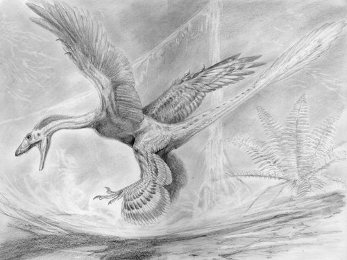 十大统治地球的有羽恐龙:北票龙和中国鸟龙