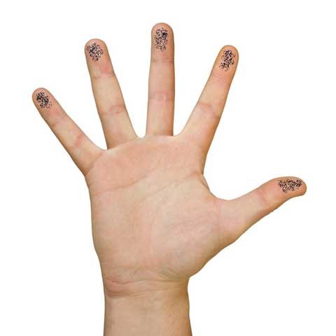 人人都有“生物id”:手掌上寄生的独特细菌_科技_腾讯网