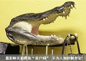 全球十大外星人绑架事件