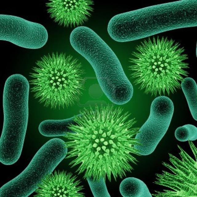 科学家培养细菌分解大便产生绿色新能源