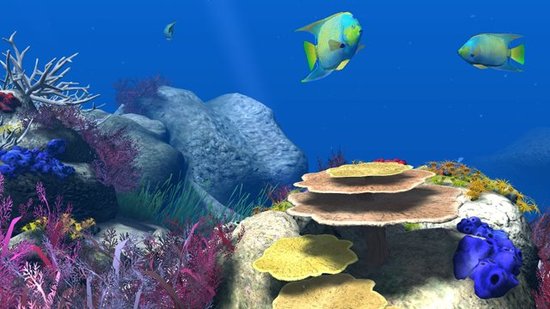 公司表示将用这笔资金创建首个3d数字动画海洋世界项目theblu.