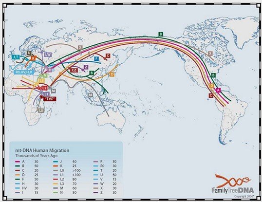 【转载】分子生物学支持现代中国人起源于非洲