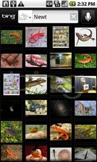 微软针对Android手机推Bing应用(组图)