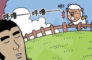 数羊人口_失眠数羊图片