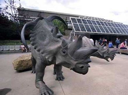 侏罗纪公园再现 美博物馆造“真实恐龙”(图)