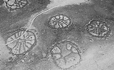 中东荒野发现数千个2000年前石轮怪图(图)