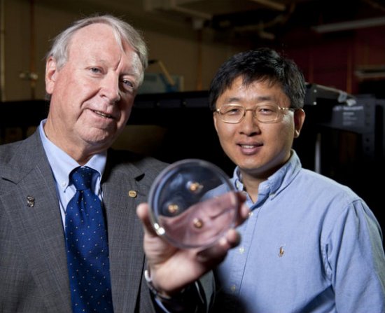 像纸一样薄的纳米材料 可用于制造防弹衣