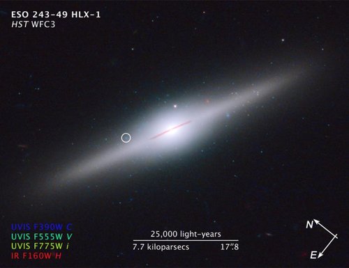 哈勃望远镜发现围绕中等质量黑洞的超级星团