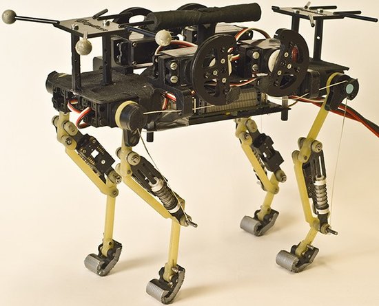 科学家研发出会走“猫步”的仿生机器人