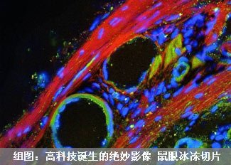 高科技下诞生的绝妙影像