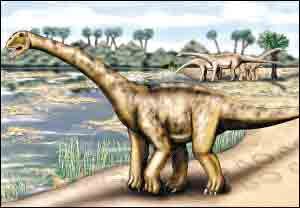 欧洲有史以来最大恐龙化石 体重相当7头大象_科技