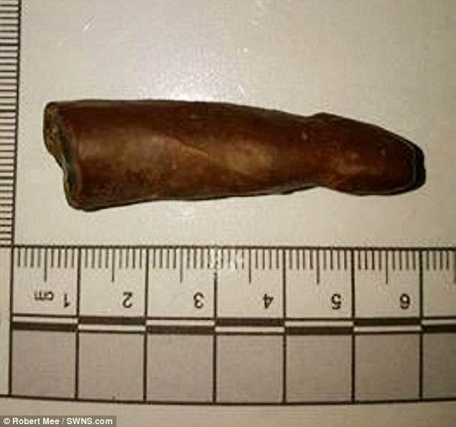英国一男子在海滩散步时发现猛犸阴茎化石
