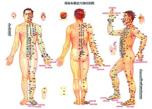 生物物理所祝总骧教授证实人体经络线(图)