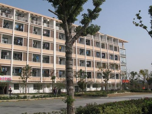 伟创力携手政府改善劳动力就业环境