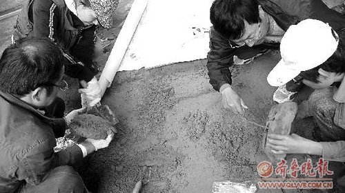 菏泽元代古沉船出珍宝 铜钱饰品样式奇特(图)_科技